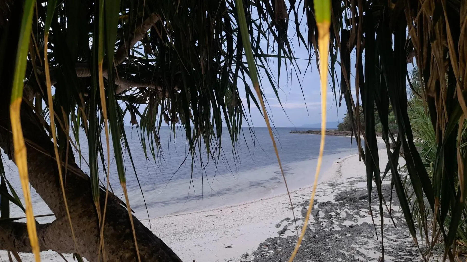 Homaja Roomrental Panglao Aparthotel