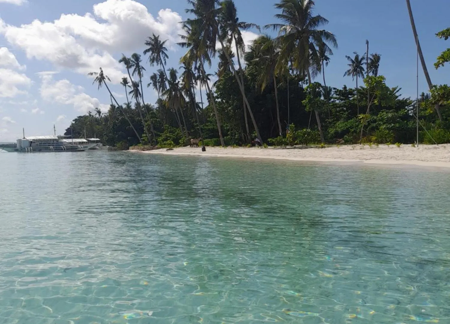 Homaja Roomrental Panglao Aparthotel